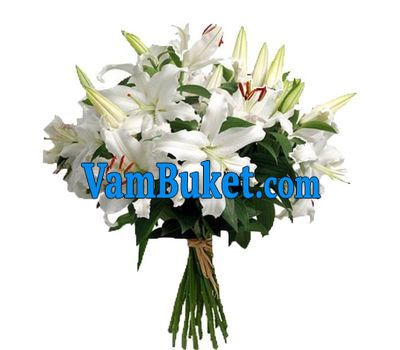 Bouquet of 7 white lilies flowers