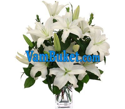 Bouquet of flowers of 5 white lilies