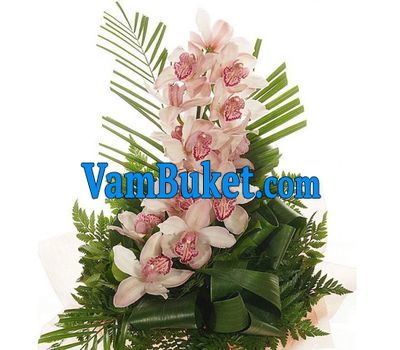 Bouquet of flowers from 1 branch of white orchid