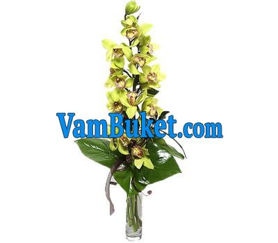 Bouquet of flowers from 1 branch of a yellow orchid