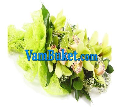 Bouquet of flowers from 3 branches of a pink orchid
