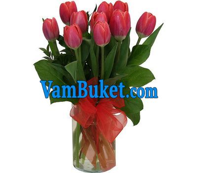 Bouquet of 11 red tulips