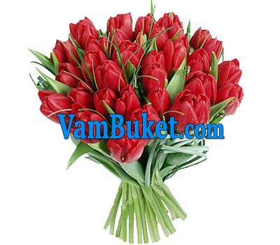 Bouquet of flowers from 51 red tulips