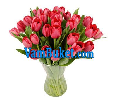 Bouquet of flowers from 31 red tulips