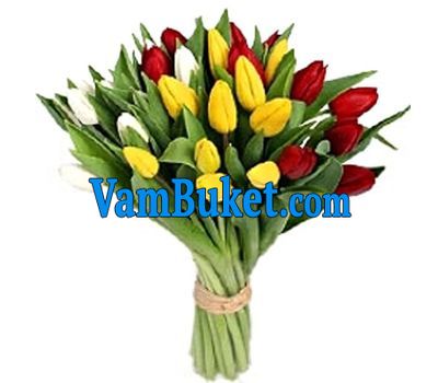 Bouquet of flowers from 29 tulips
