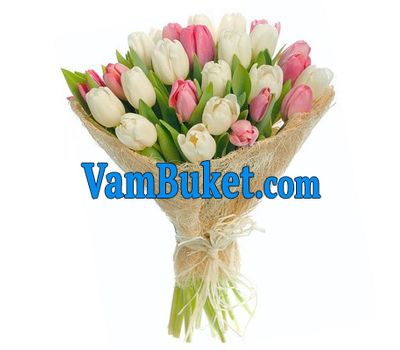 Bouquet of 27 Tulips