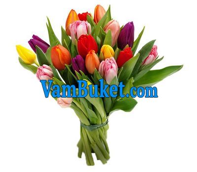 Bouquet of 19 Tulips