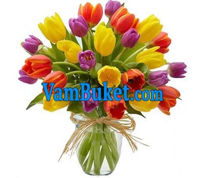 Bouquet of 25 tulips