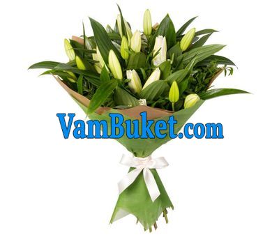 Bouquet of 7 lilies