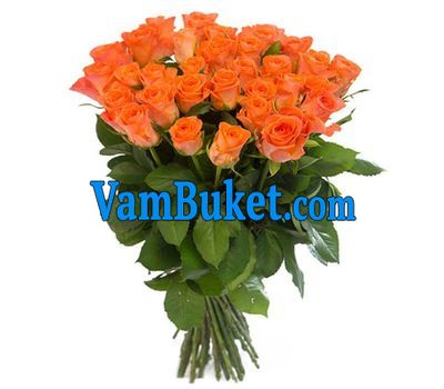 Bouquet of 27 roses