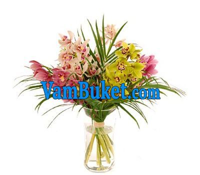 Bouquet of flowers from 5 branches of a multicolored orchid