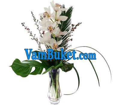 Bouquet of flowers from 1 branch of white orchid