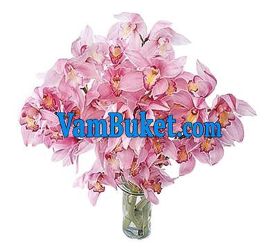 Bouquet of flowers from 5 branches of a pink orchid