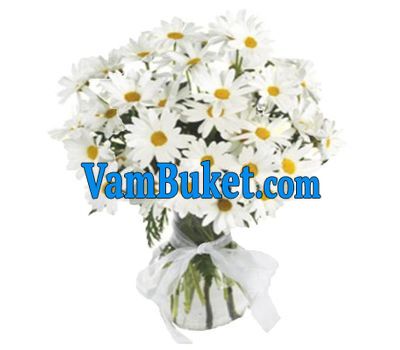 Bouquet of flowers from 29 chamomiles