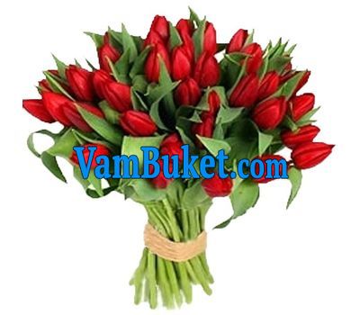 Bouquet of 35 red tulips