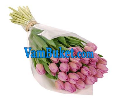 Bouquet of 35 pink tulips