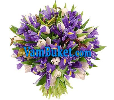 Bouquet of flowers from irises and white tulips