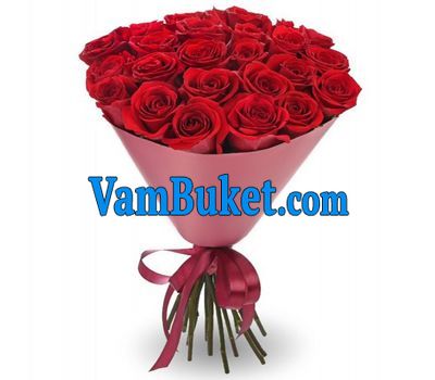Bouquet of 21 red roses
