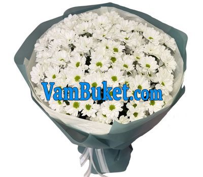 Bouquet of flowers from 25 chamomile chrysanthemums