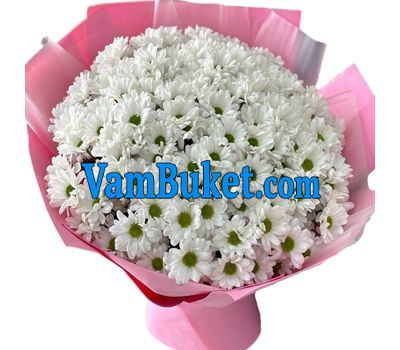 Bouquet of flowers from 35 chamomile chrysanthemums