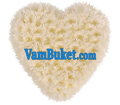 25 chrysanthemums