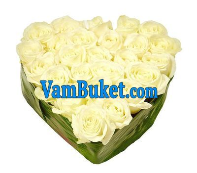 27 white roses