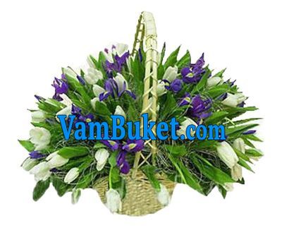 Кошик з 45 тюльпанів і 26 ірисів
