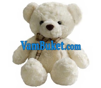Soft toy - White bear