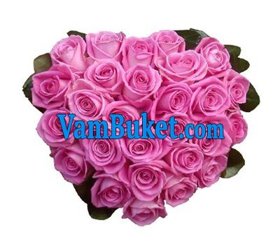27 pink roses