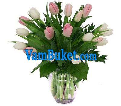 Bouquet of flowers from 19 tulips