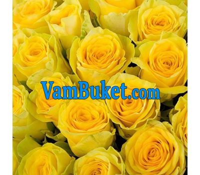 Yellow roses by the piece