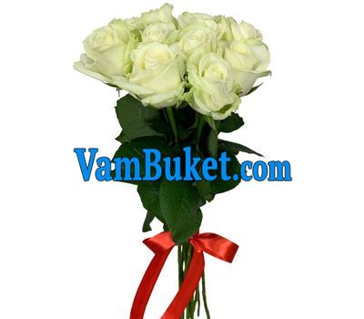 11 white roses