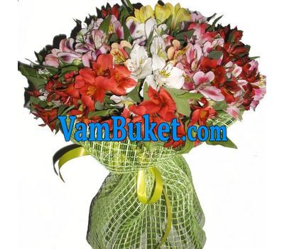 Bouquet of 51 alstromerias